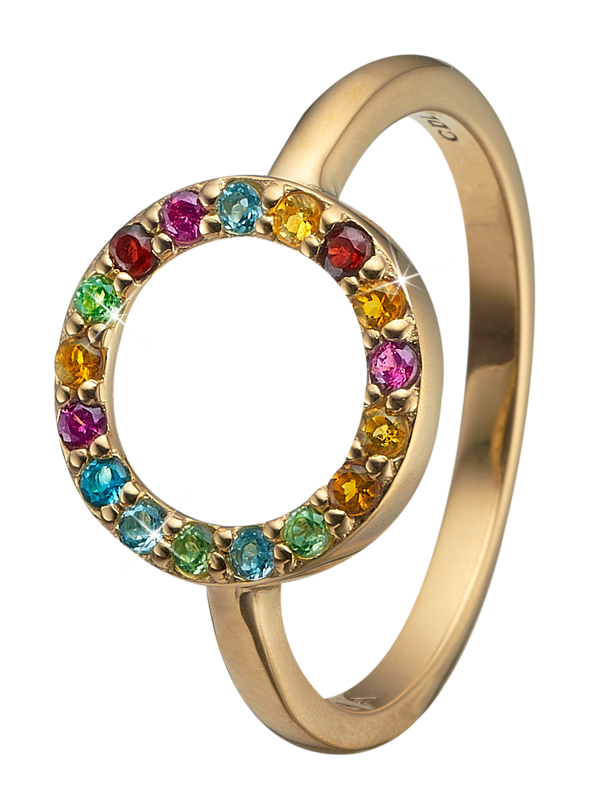 Christina Collect forgyldt sterling sølv Word Goals Smuk ring med cirkel besat med 17 forskellige ægte sten, ring størrelser fra 49-61